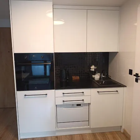 Apartman Lofty Nad Warta - Free Parking - Self Check-in *
